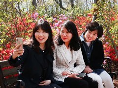 벤치의 세명의 여성이 앉아있고 뒤로는 진달래꽃이 흐드러지게 펴있는 모습이다. 맨 좌측의 사람이 스마트폰을 들고 셀프 카메라를 촬영 하고 있는 모습이다. 