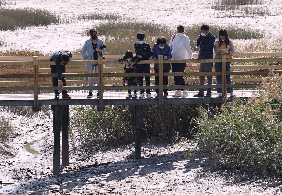 생태공원 바다갈대 데크길에 서서 갯벌을 관찰하고 있는 가족들