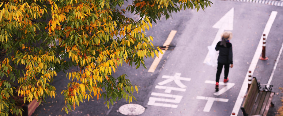 도로 출구쪽으로 걸어가고 있는 한명 위에 단풍물이 들고 있는 낙엽들
