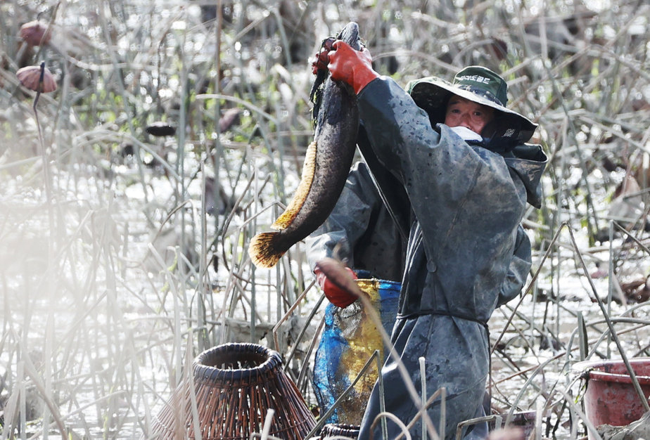 저수지에서 한 농부가 물고리를 잡아 올린 모습