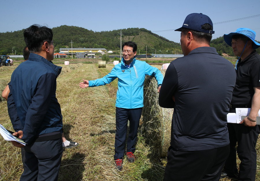 조사료 수확 현장 방문 작업농가 격려 및 칠량육묘현장(2023.05.16) 게시글 관련 사진