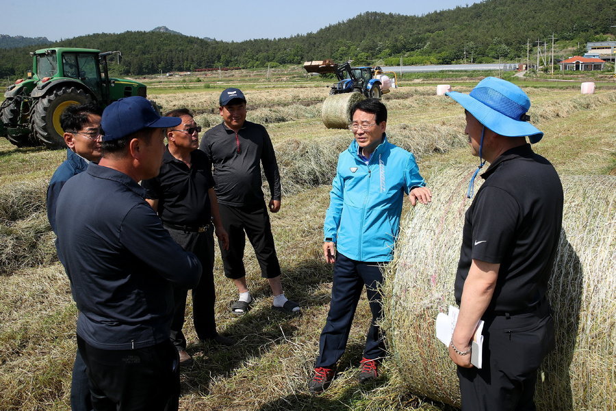 조사료 수확 현장 방문 작업농가 격려 및 칠량육묘현장(2023.05.16) 게시글 관련 사진