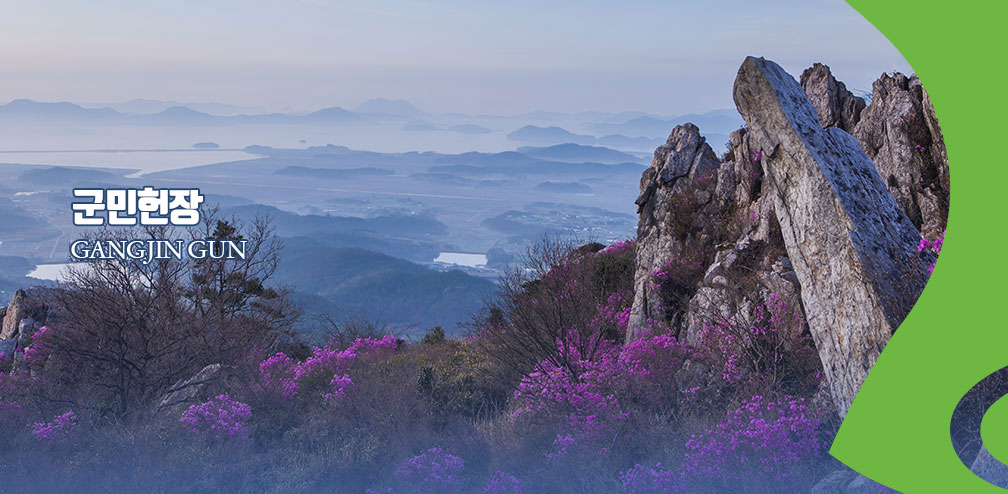 진달래 꽃이 많이 피어 있으며 산 꼭대기에서 내려보는 풍경 사진 위에 군민헌장 gangjingun 글씨가 있음