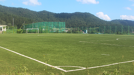 초록 잔디가 깔린 축구장 끝에 하얀색 골대가 설치되어 있는 모습
