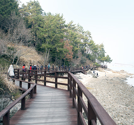 해안산책로를 걷고있는 사람들