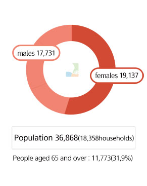 인구현황을 나타낸 둥근그래프로 인구 36,868명(18,358세대) 65세 이상 : 11,773명(31,9%),여자 19,137명 남자17,731명