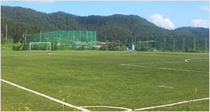 Dasan, Yeongnang and Celadon Fields