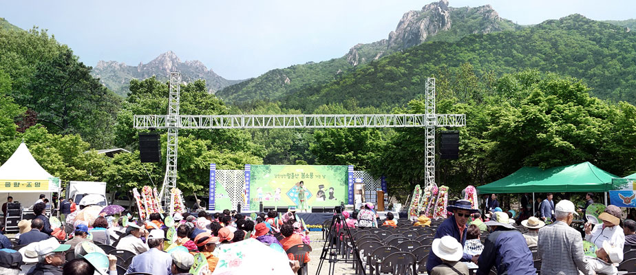 Spring Picnic Day to Wolchulsan Mountain