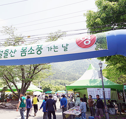 Spring Picnic Day to Wolchulsan Mountain