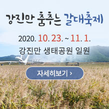 강진만 춤추는 갈대축제 2020. 10. 23. ~ 11. 1. 강진만 생태공원 일원 자세히보기