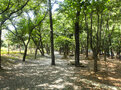 석문공원
